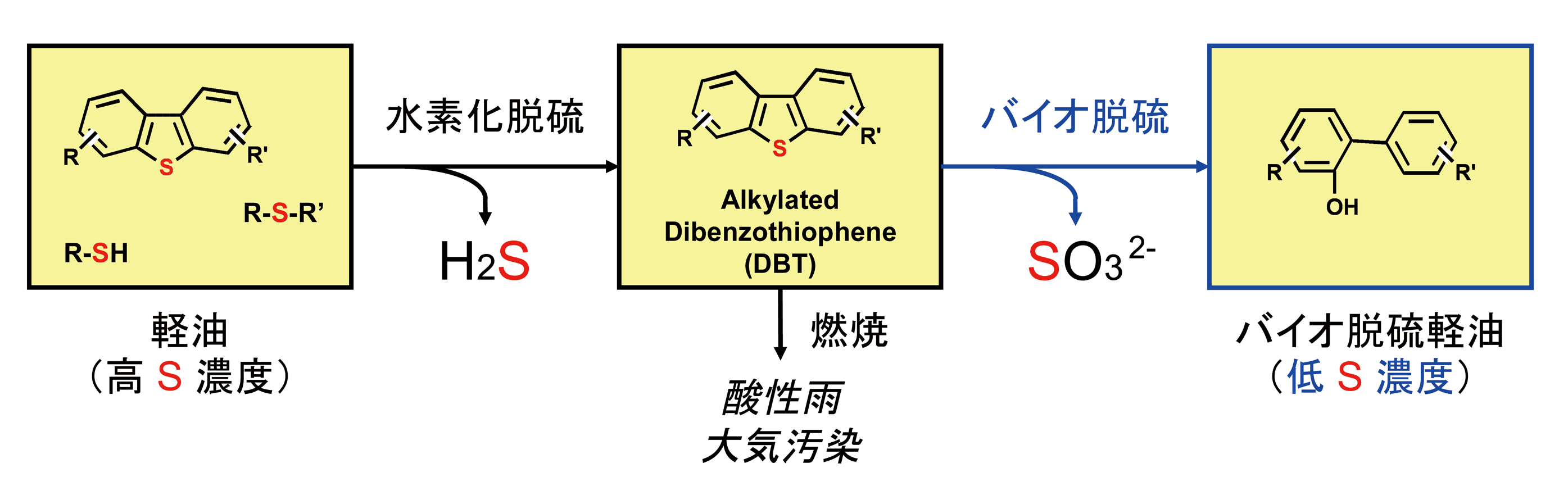 バイオ脱硫の模式図