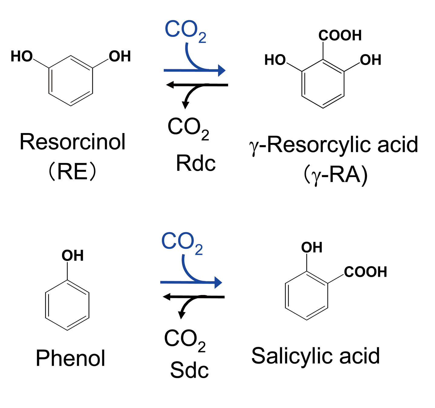 酵素を利用した位置選択的な炭酸固定によるサリチル酸誘導体の生産